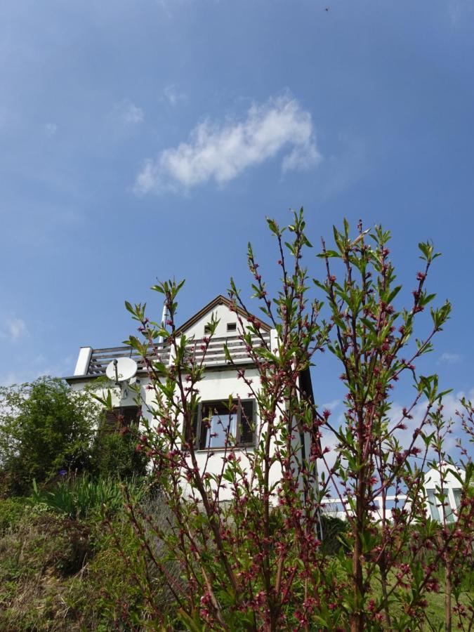 Kellerstoeckl Eisenberg/Pinka Weiner Villa Eisenberg an der Pinka Dış mekan fotoğraf