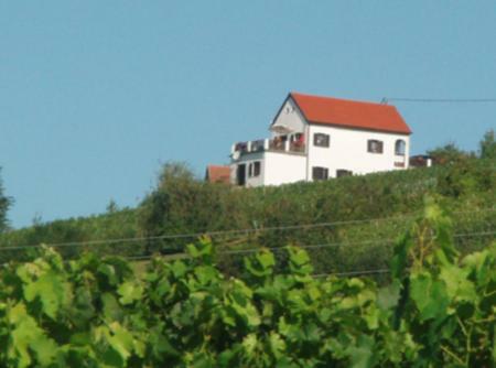 Kellerstockl Eisenberg/Pinka Weiner Villa Eisenberg an der Pinka Dış mekan fotoğraf